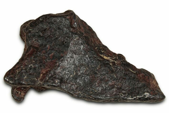 Canyon Diablo Iron Meteorite ( g) - Arizona #356036